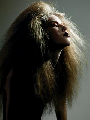 Taryn Davidson poster