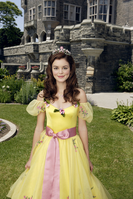 Nora Zehetner poster