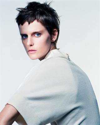 Stella Tennant poster