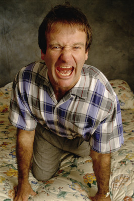 Robin Williams poster