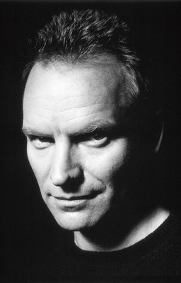 Sting poster