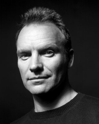 Sting poster