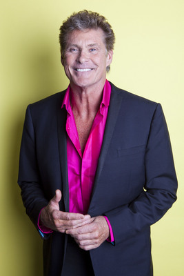 David Hasselhoff poster