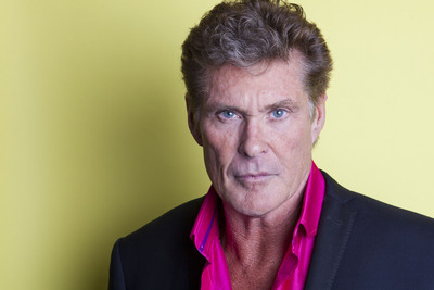 David Hasselhoff poster