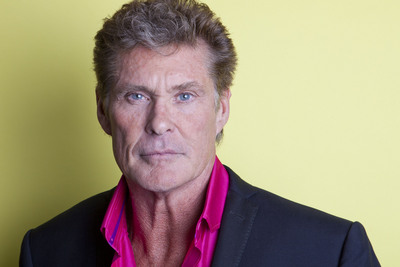 David Hasselhoff poster