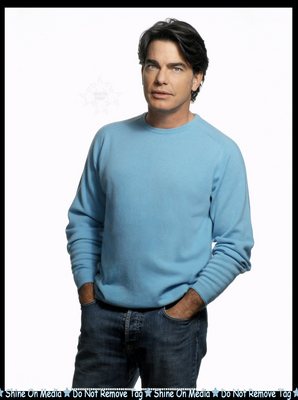 Peter Gallagher poster
