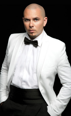 Pitbull poster