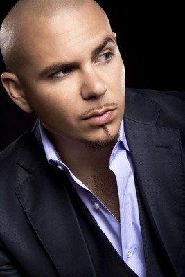 Pitbull poster