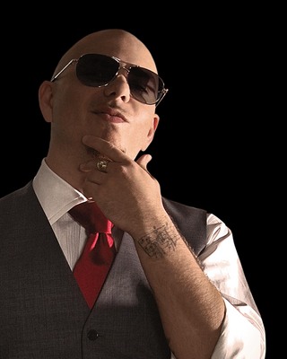 Pitbull poster
