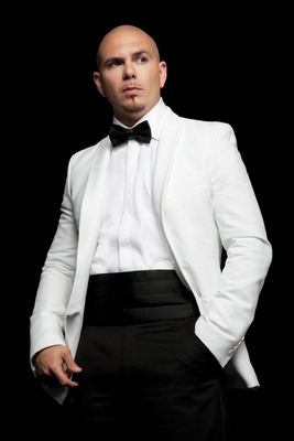 Pitbull poster