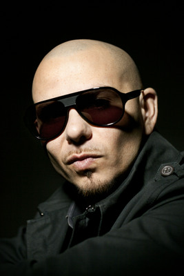 Pitbull poster