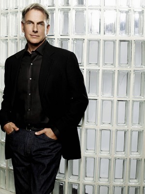 Mark Harmon poster