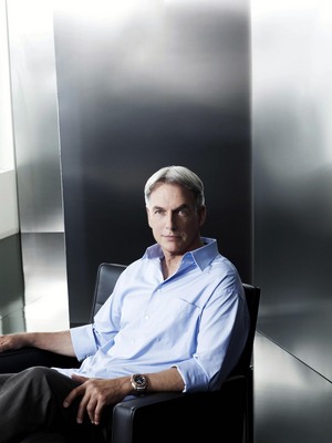 Mark Harmon poster
