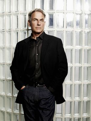 Mark Harmon poster
