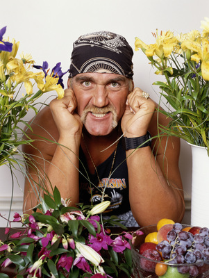 Hulk Hogan poster