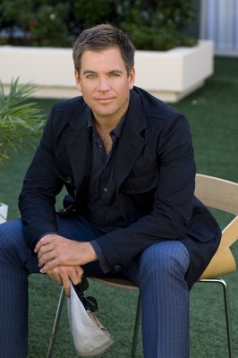 Michael Weatherly poster