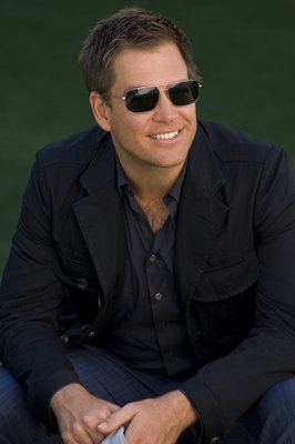 Michael Weatherly poster