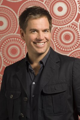 Michael Weatherly poster