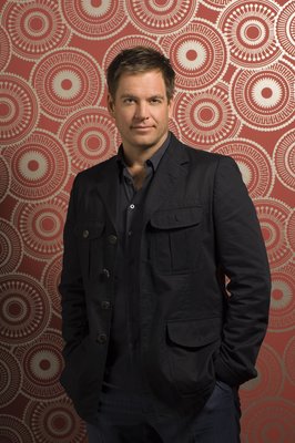 Michael Weatherly poster