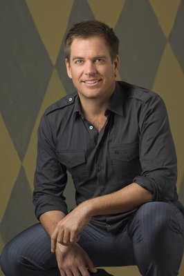 Michael Weatherly poster