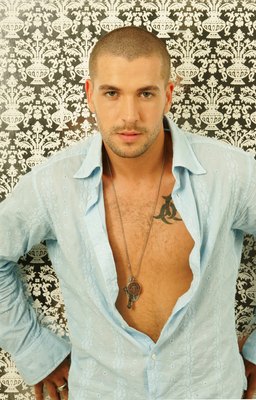 Shayne Ward poster
