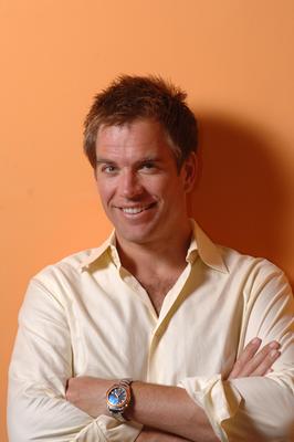 Michael Weatherly poster