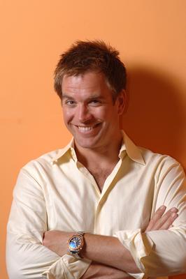 Michael Weatherly poster
