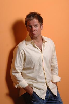 Michael Weatherly poster