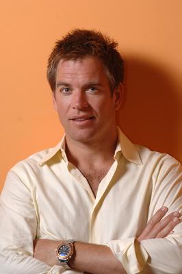Michael Weatherly poster
