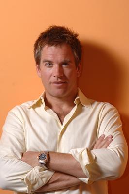 Michael Weatherly poster