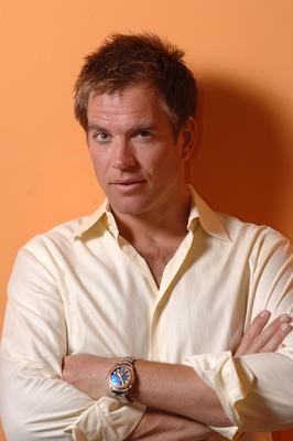 Michael Weatherly poster