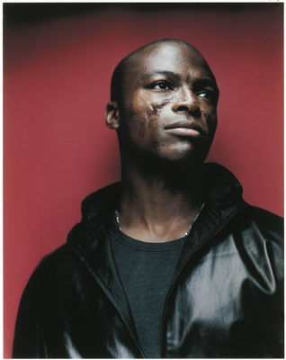 Seal poster