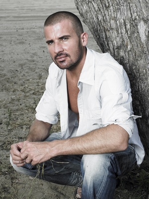 Dominic Purcell poster