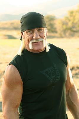 Hulk Hogan poster