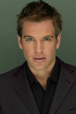 Michael Weatherly poster
