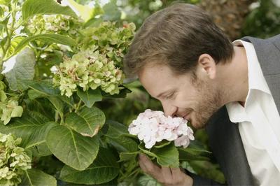 Peter Sarsgaard poster