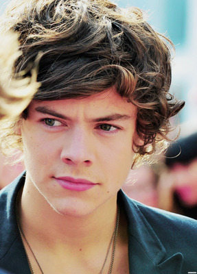 Harry Styles sweatshirt