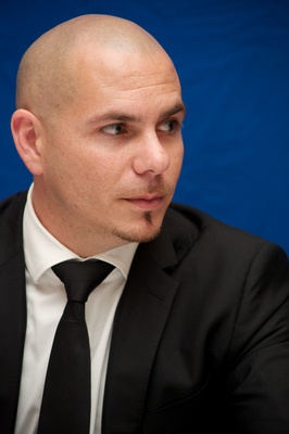 Pitbull poster