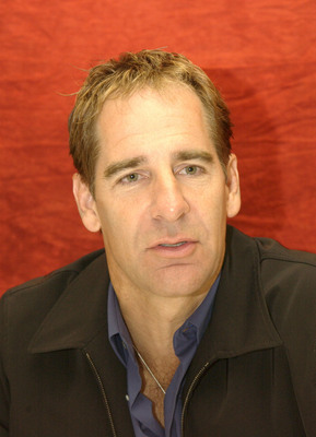 Scott Bakula poster
