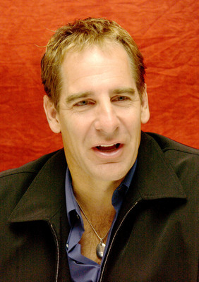 Scott Bakula poster