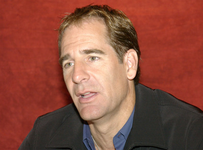 Scott Bakula poster