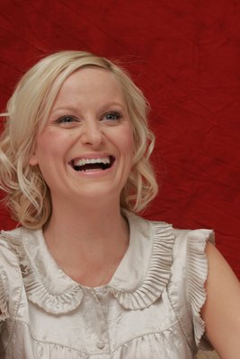 Amy Poehler poster
