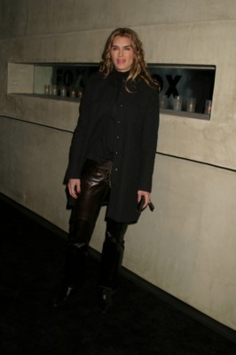 Brooke Shields poster