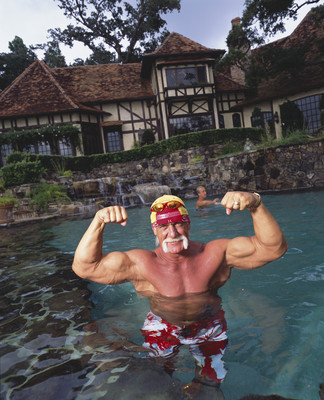 Hulk Hogan poster