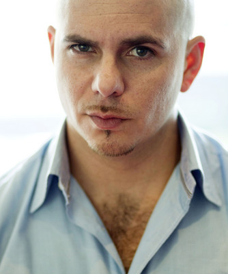 Pitbull poster