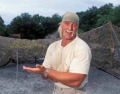 Hulk Hogan poster