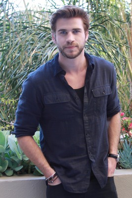 Liam Hemsworth poster
