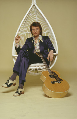 Johnny Hallyday poster