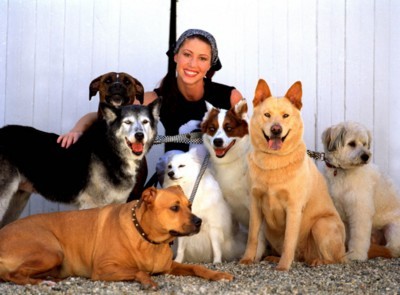 Shannon Elizabeth poster