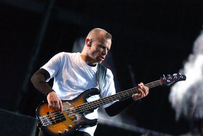 Red Hot Chili Peppers poster